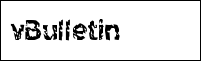 sporthorses-online